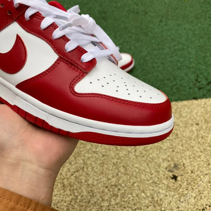 Nike Dunk Low Retro 