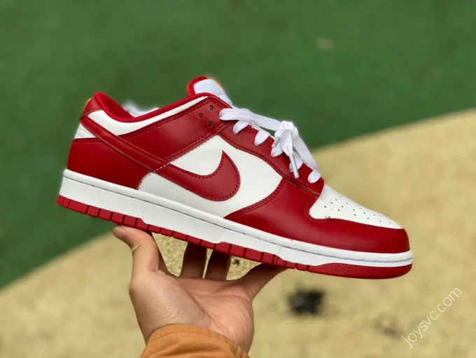 Nike Dunk Low Retro 