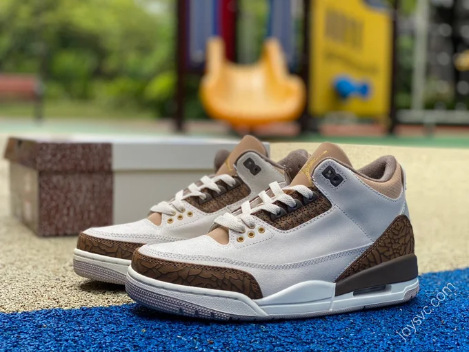 Air Jordan 3 