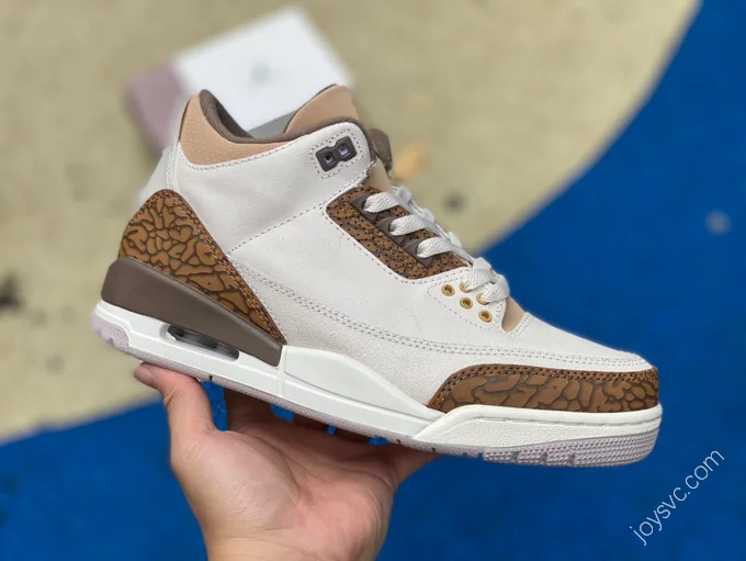 Air Jordan 3 