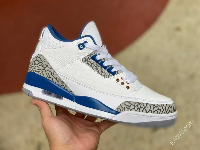 Air Jordan 3 Wizards Sneaker CT8532-148