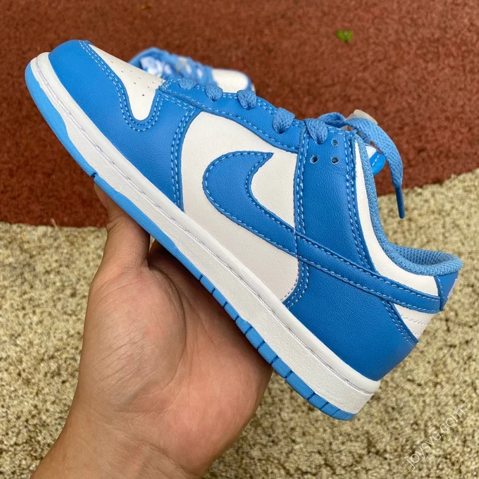 Nike Dunk Low Retro 