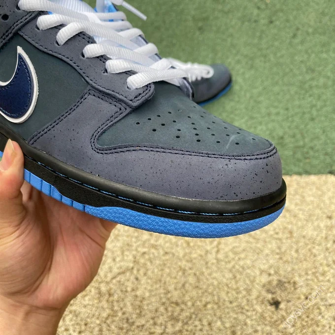 Nike Dunk SB Low 