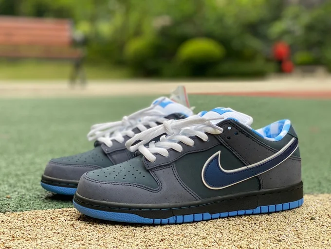 Nike Dunk SB Low 