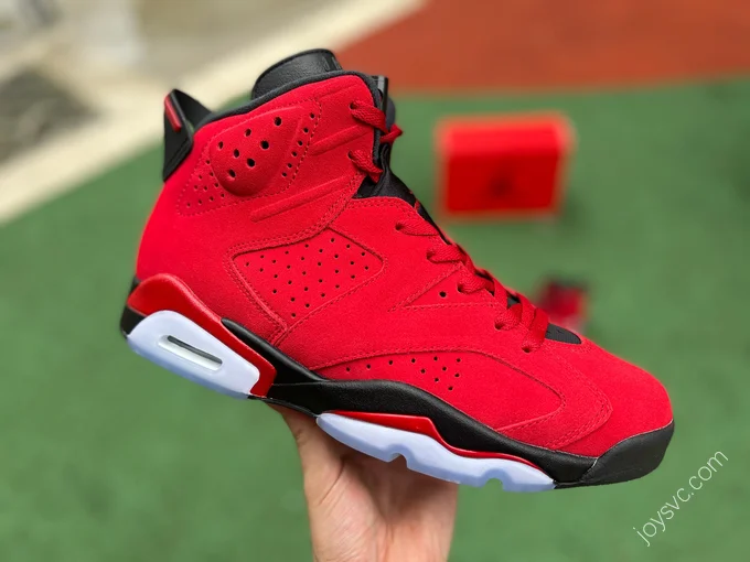 Air Jordan 6 