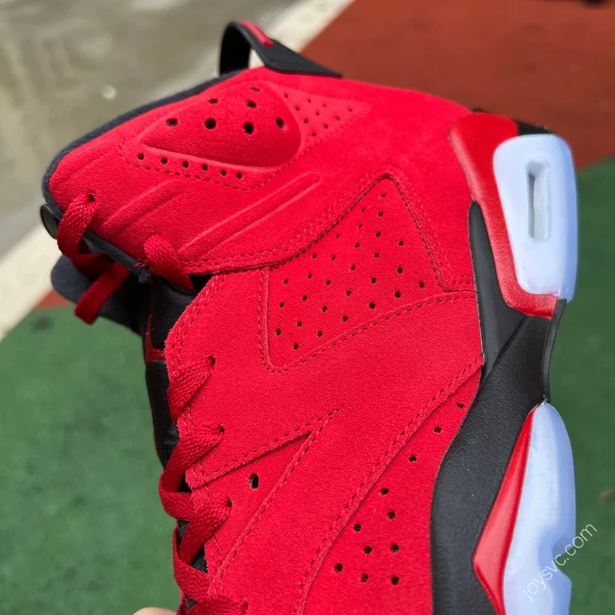 Air Jordan 6 