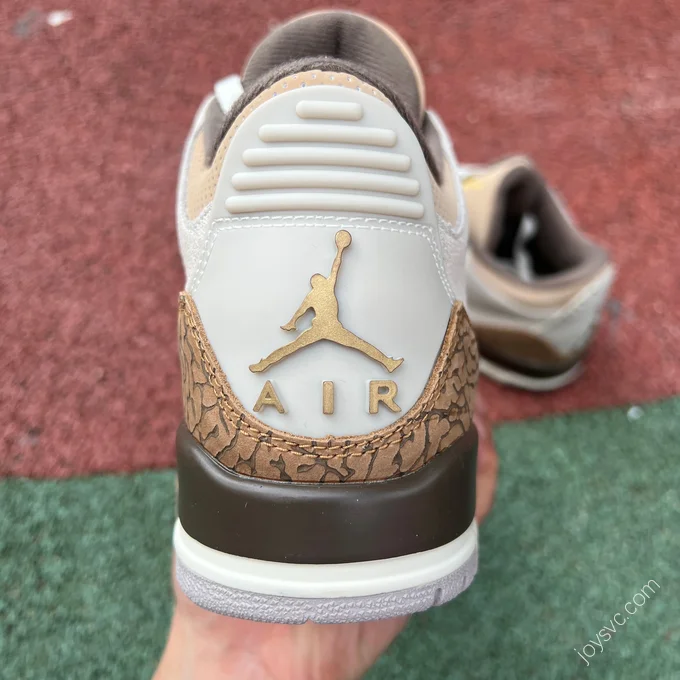 Air Jordan 3 