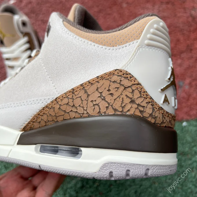 Air Jordan 3 