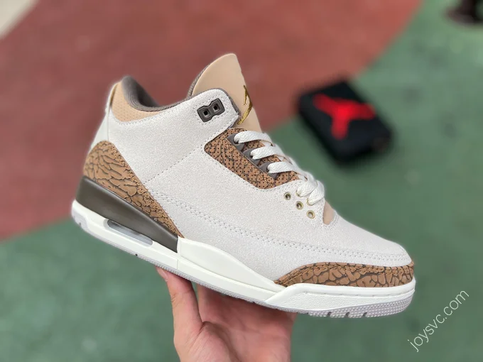 Air Jordan 3 