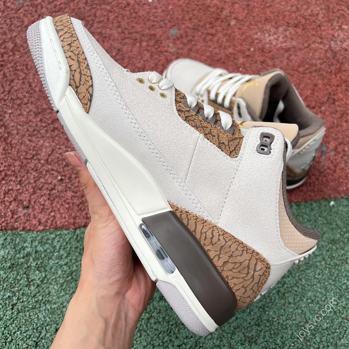 Air Jordan 3 