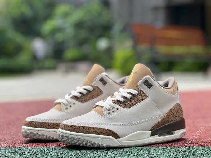 Air Jordan 3 