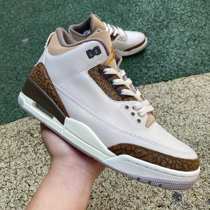 Air Jordan 3 