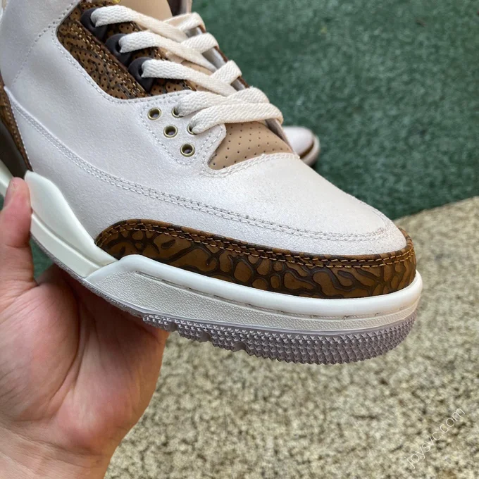 Air Jordan 3 