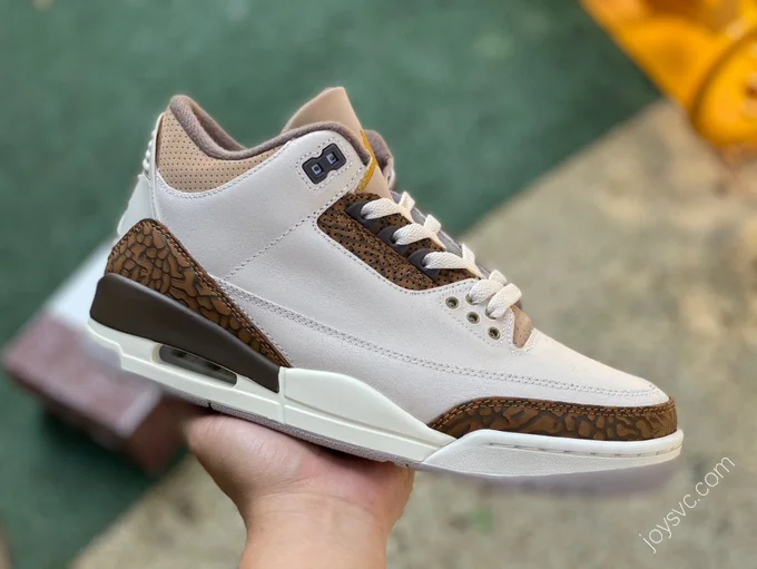 Air Jordan 3 