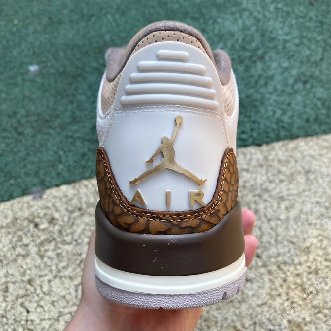 Air Jordan 3 