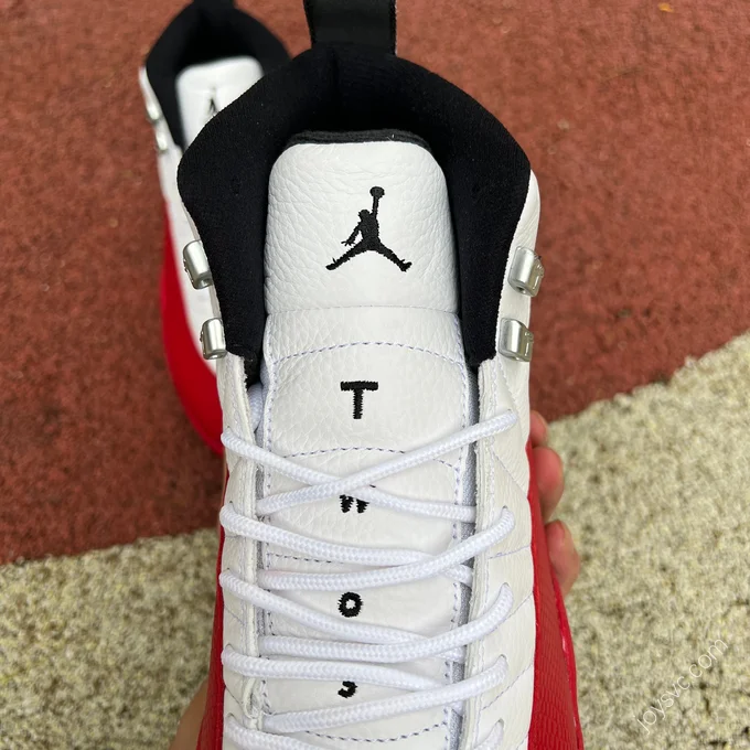 Air Jordan 12 