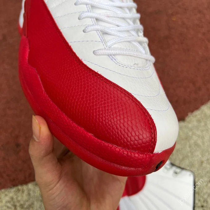 Air Jordan 12 