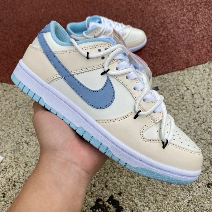 Nike Dunk Low Blue Beige DD1503-123