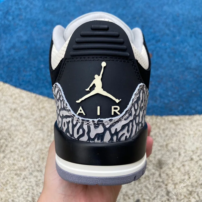 Air Jordan 3 