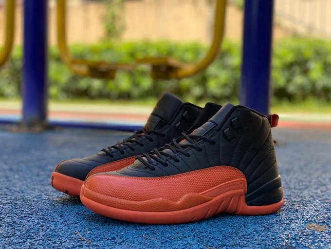 Air Jordan 12 WMNS 