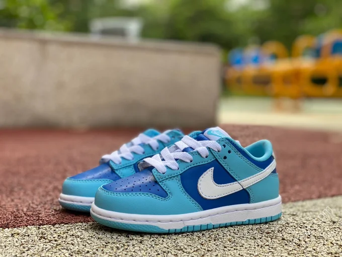 Nike Dunk Low GS White Blue DV2635-400