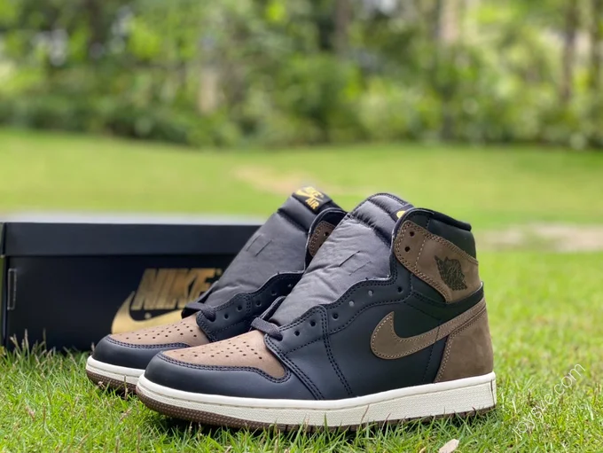 Air Jordan 1 High OG Palomino High-Top Sneaker DZ5485-020