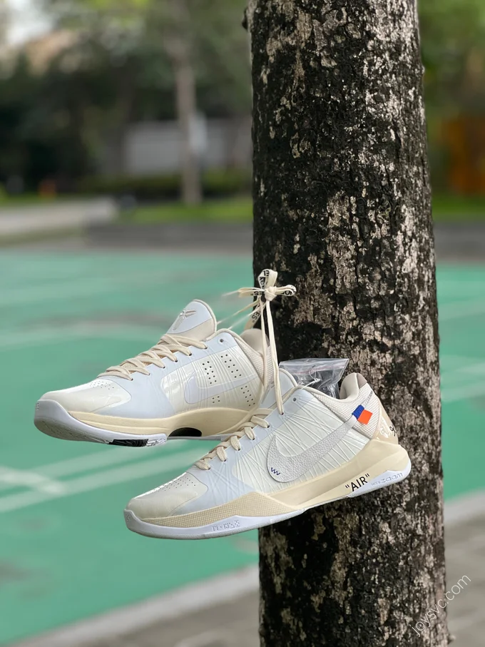 Nike Kobe x OFF-WHITE Beige cz0790-11