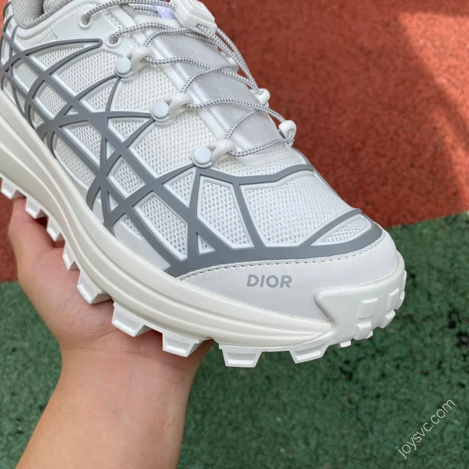 Dior B31 Grey White 3SN297ZUV_H060