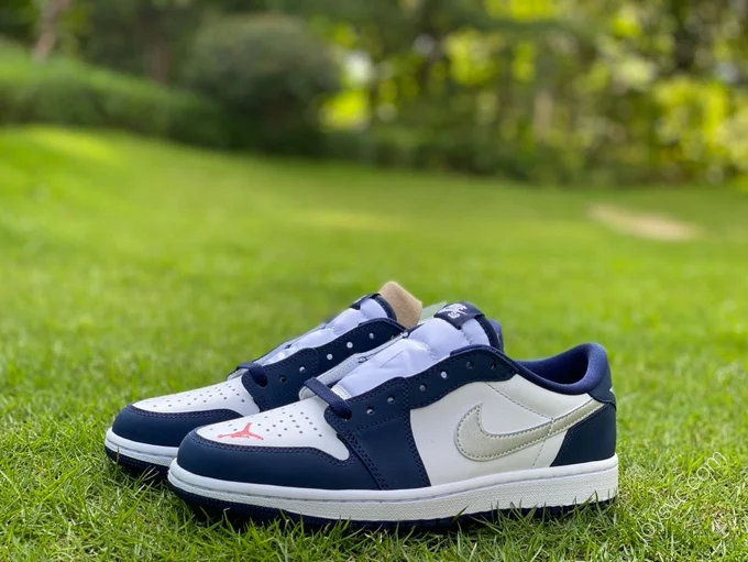 Air Jordan 1 SB Low 