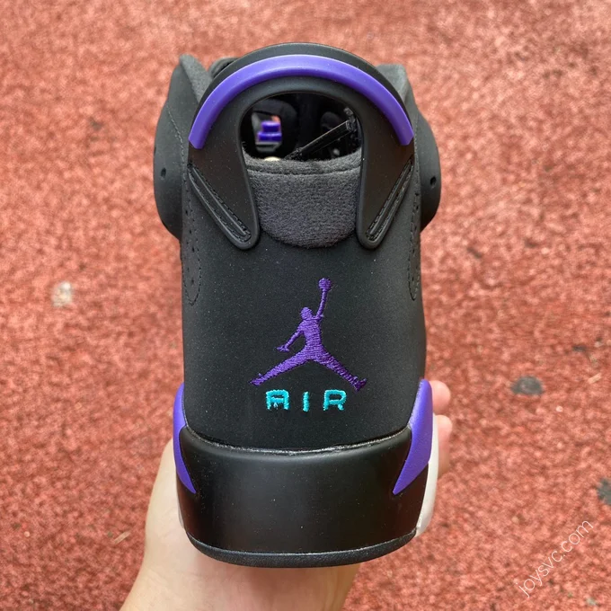 Air Jordan AJ6 