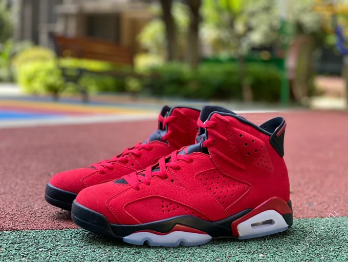 Air Jordan 6 