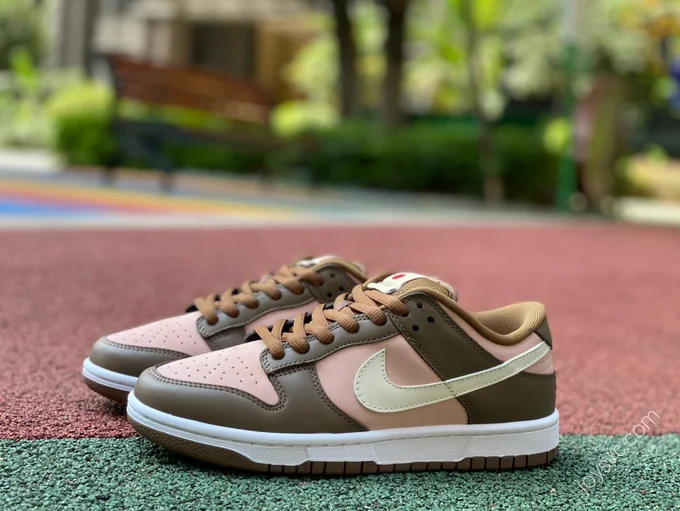 Nike Dunk SB Low 