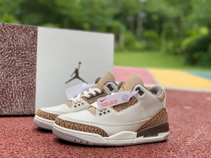 Air Jordan 3 