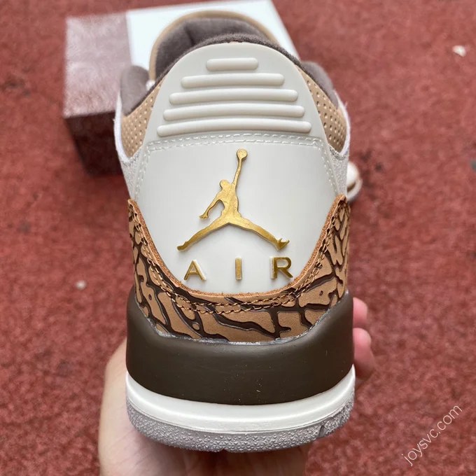 Air Jordan 3 