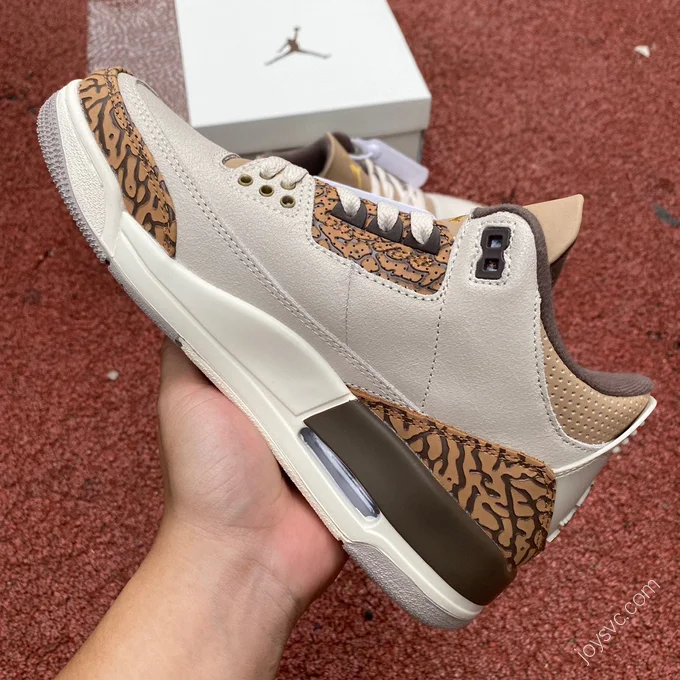 Air Jordan 3 