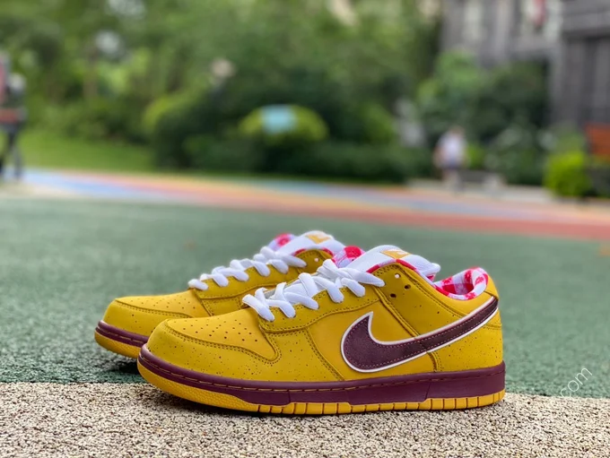 Nike Dunk SB Low 