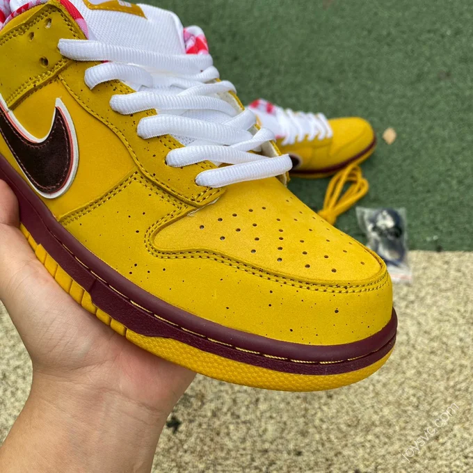 Nike Dunk SB Low 