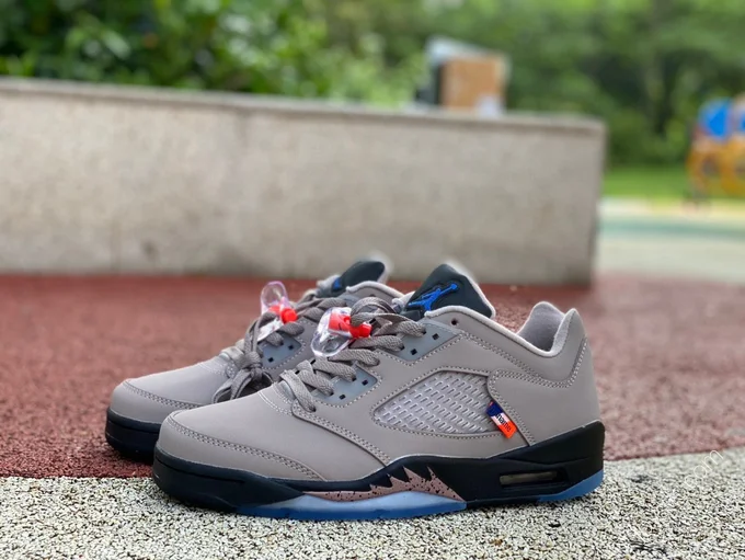 Air Jordan 5 Retro Low 