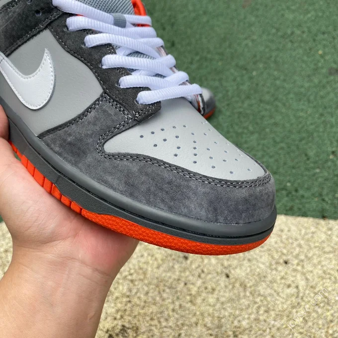 Staple Pigeon x Nike Dunk SB Grey 304292-011