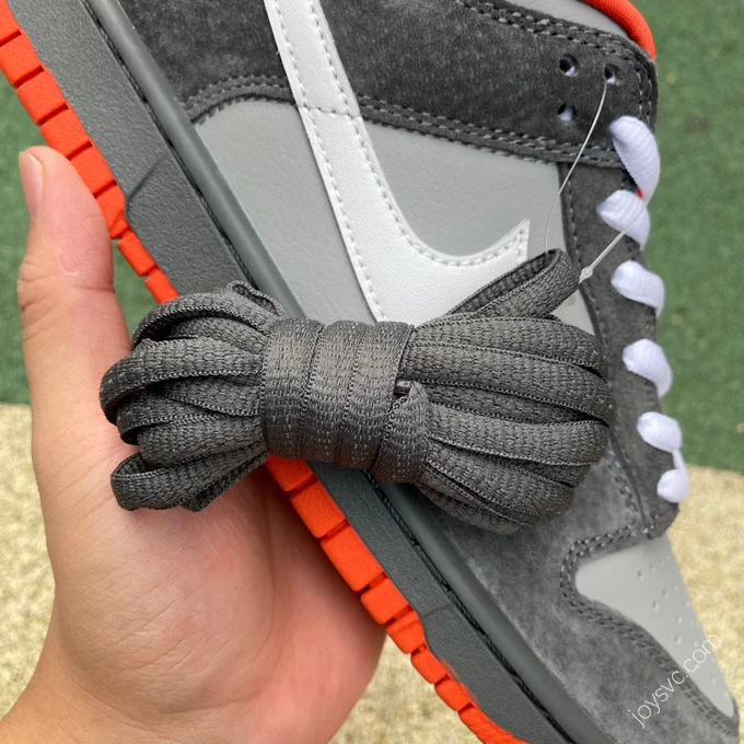 Staple Pigeon x Nike Dunk SB Grey 304292-011