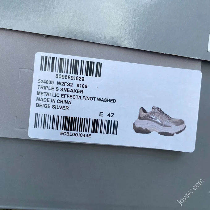 Balenciaga Silver