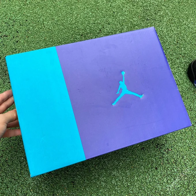 Air Jordan AJ6 