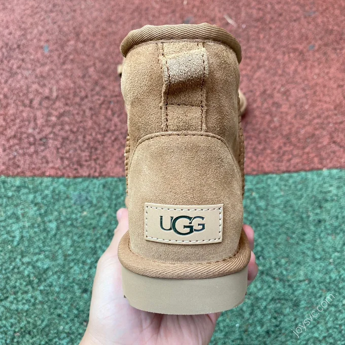 UGG Tasman Brown High-Top