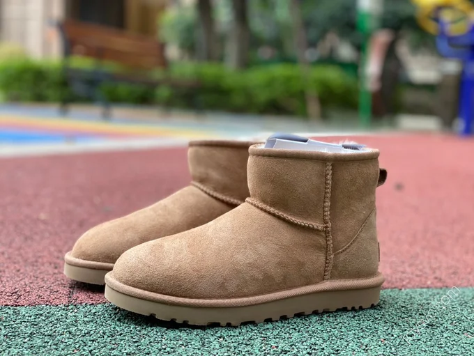 UGG Tasman Brown High-Top