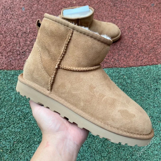 UGG Tasman Brown High-Top