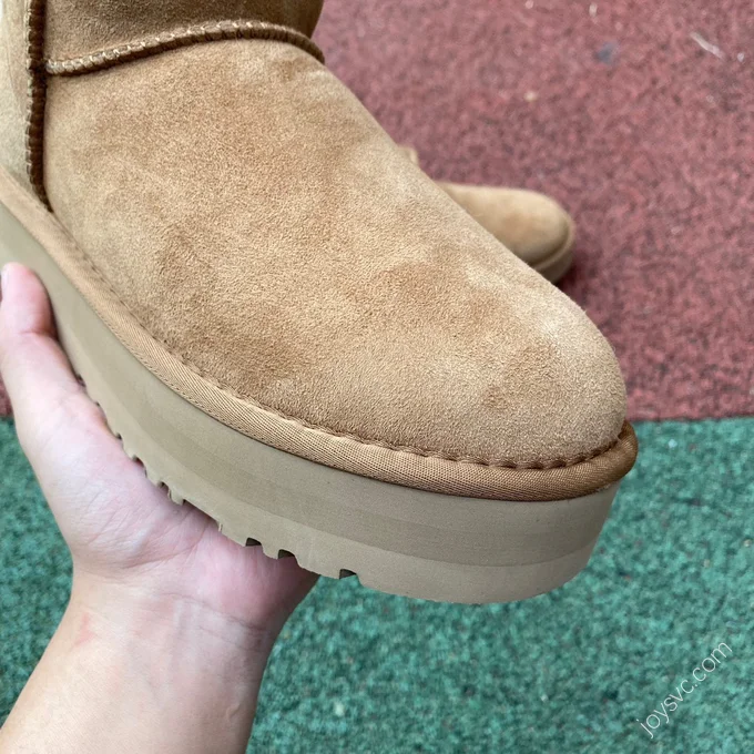 UGG Tasman Brown Mid-Top