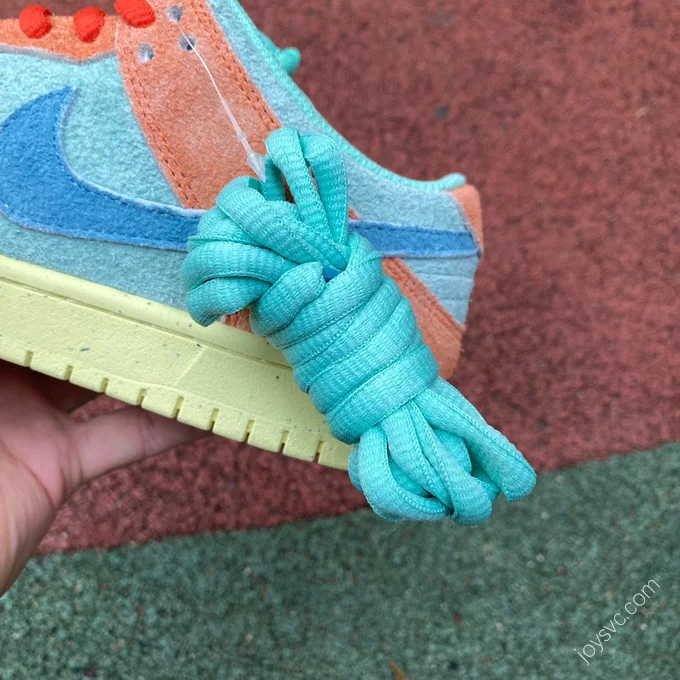 Nike Dunk SB Low Orange Teal DV5429-800