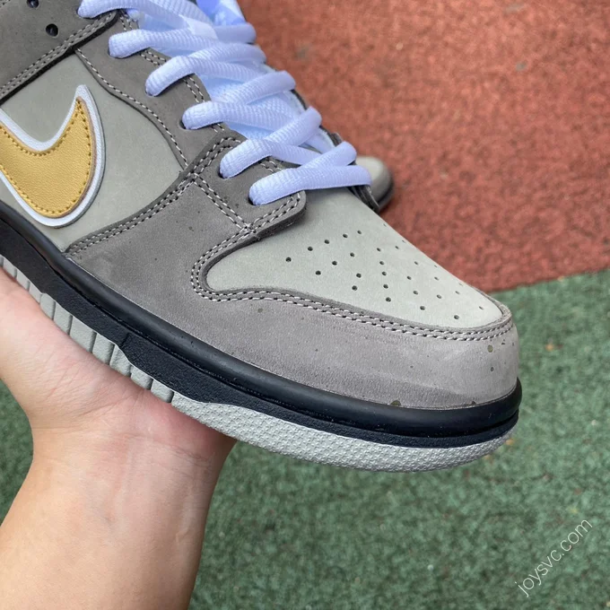 CONCEPTS x Nike Dunk SB Low 