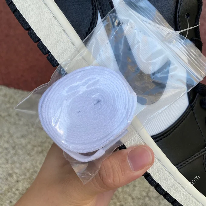 Air Jordan 1 Low WMNS Vintage Panda FB9893-101
