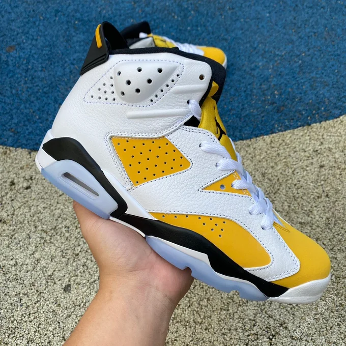 Air Jordan 6 